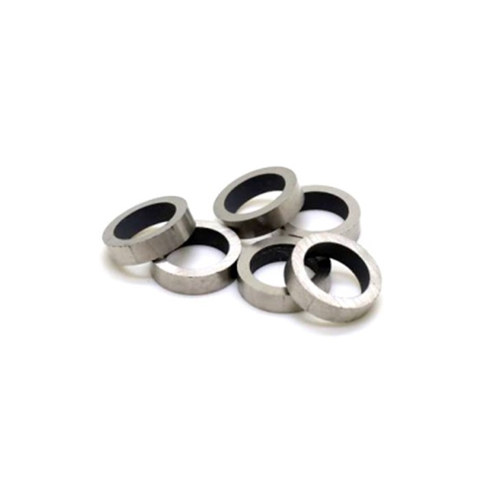 Ring AlNiCo Magnets-009